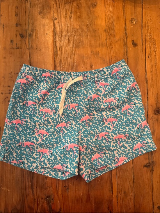 chubbies Other - chubbies Kids Swim Trunks Teal w/ Pink Flamingo Print. Neon pink built  brief